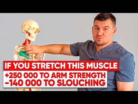 The Secret Muscle: +250 Strength to Your Arms and -145 Slouching in Just Minutes.