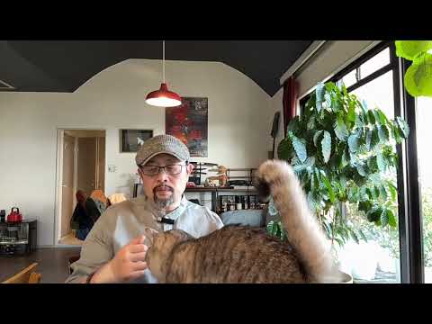 网络大V们的末日临近:13条红线到底啥意思;各地纷纷取消跨年活动:香港是怕大家提起宏福苑大火,其它地方取消则要从十年前说起|网信办|上海外滩|踩踏事件|