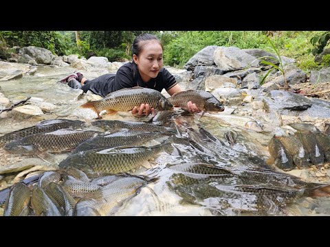 What tools did Tam prepare to catch so many giant river fish and bring them to the market to sell?