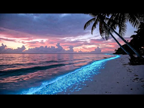 Peaceful Evening – Relaxing Chill Music & Cozy Ambient Guitar for Focus & Calm