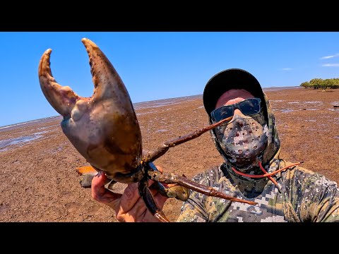 El Cangrejo Más PELIGROSO de Australia (pescar y cocinar)