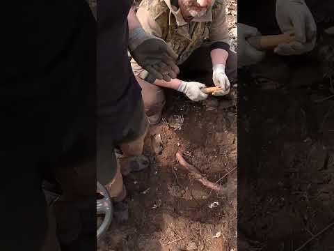 Unglaublicher Fund im #ww2 Schützengraben