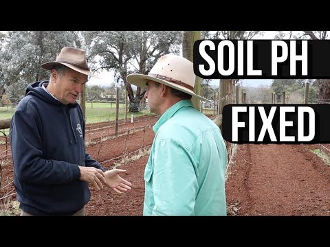 Fix Soil pH Naturally: It's Simple!