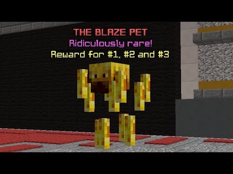 the rarest pet on hypixel