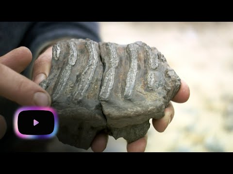 Digging for Britain | Prehistory | Series 1 Episode 2