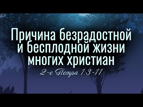 Причина безрадостной и бесплодной жизни многих христиан (Андрей Резуненко)