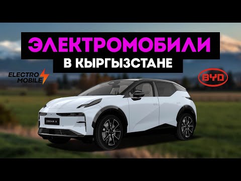 Сколько стоит электромобиль в Кыргызстане и где купить? Разница расходов
