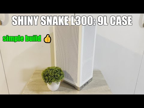 Shiny Snake L300 | A 9L SFF ITX Build