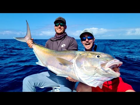 Jigging GIANT Amberjack