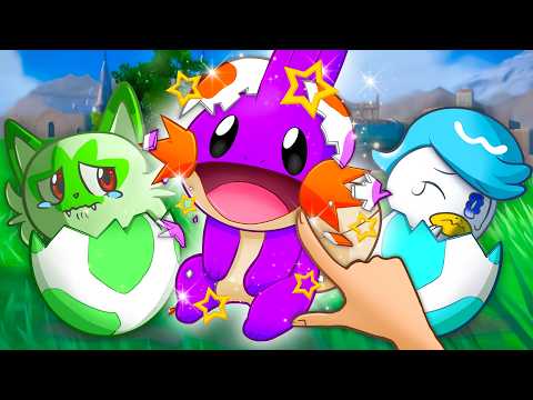 Pokemon Violet But SHINY EGGS Decide my Team