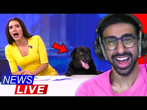 Funniest Animal News Bloopers!