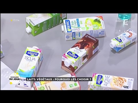 Dossier du Jour : Laits végétaux : pourquoi les choisir ?