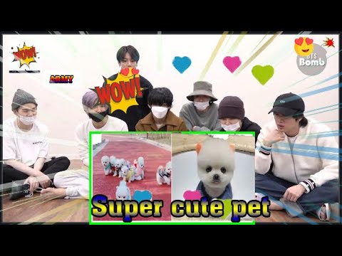 BTS NGẠC  NHIÊN  TRƯỚC NHỮNG CHÚ CÚN CON ĐÁNG YÊU  💕 💕