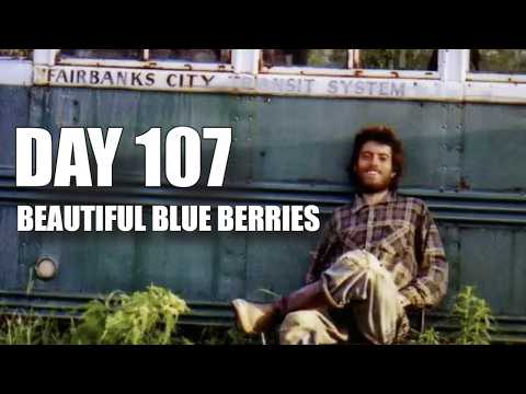 What Actually Happened to Christopher McCandless?