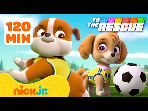 PAW Patrol | PAW Patrol spielt Sport & rettet! ⚽️ | 120 Minuten | Nick Jr. Deutschland