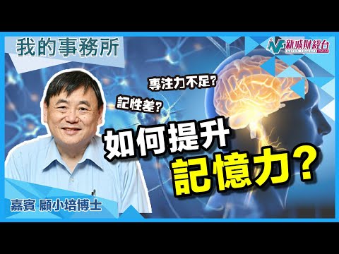 【我的事務所】讀書讀唔入腦？記性差？原來同二手煙有關！？｜顧小培 劉婉芬