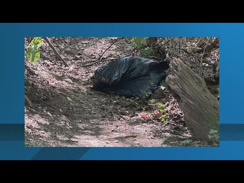 Woman finds dead black bear in plastic bag on Arlington walking trail