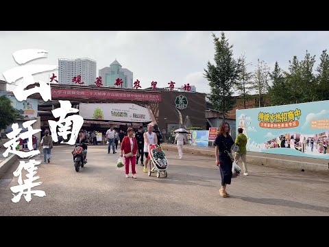 雲南秋季趕大集,漫步大觀篆新農貿市場,尋找七彩雲南的人間煙火味 The hustle and bustle of the city life is always comforting