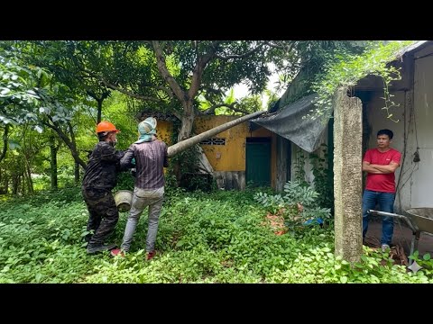 Scary weeds have taken over this beautiful house | satisfying cleanup transformation