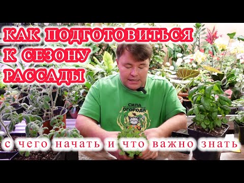 Let's talk about seedlings - how to make life easier and simpler not only for the plants, but for...