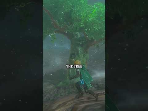 This random tree in TOTK might actually be important