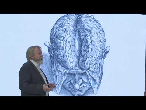 Perspectives on the Nature of Reality to Inform Systemic Change Dr Iain McGilchrist,CERN,Switzerland