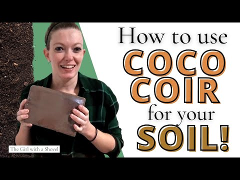 How to Use Coco Coir Bricks | Seed Starting, Plants, & Houseplants