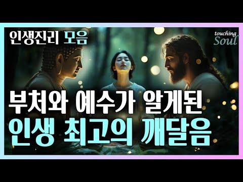 모든 것이 이루어지는 신비한 관찰자효과 | 부처와 예수가 깨달은 영원한 인생진리 / 깨달음 모음집