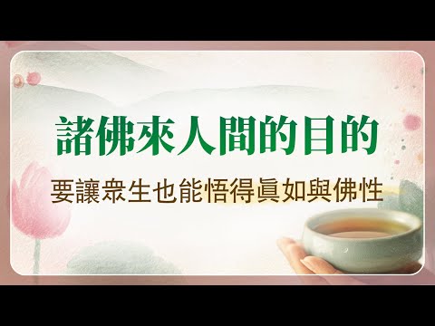 法華經講義(三) 125 佛以何大事因緣故出現於世