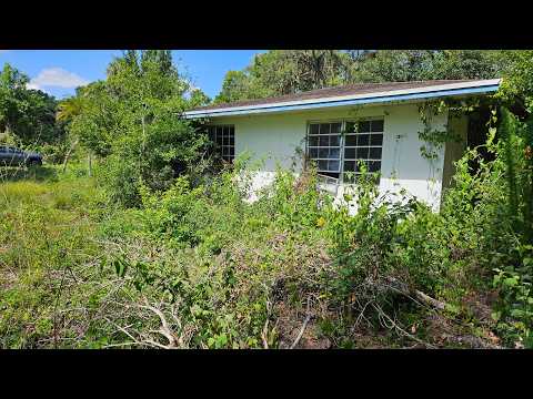 ABANDONED and VANDALIZED Property gets Makeover | Extreme Overgrown Lawn Transformation