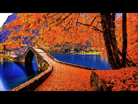 Beautiful Relaxing Music 🍁 Soothing Autumn Melody For Relax, Stress & Anxiety Relief, Calm Nervous