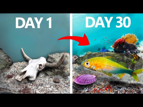 I Simulated an Ocean for 30 Days