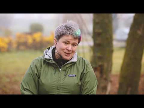 Страх улицы у собаки