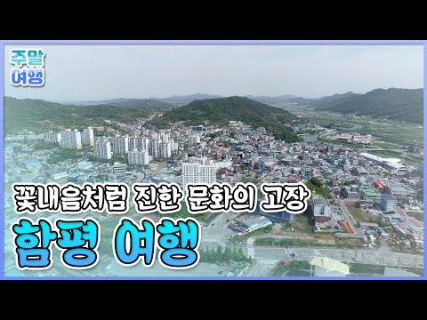 생태 관광의 메카이자 생명의 땅, 전남 함평 여행 [테마기행길]