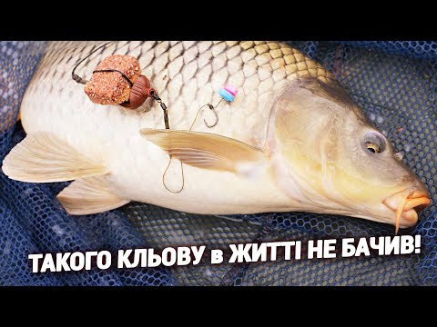 Fishing for crucian carp and carp on the bottom