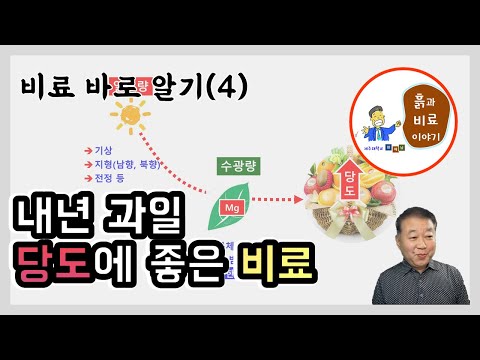 Understanding Fertilizers (4) - Why You Must Use Fertilizers Containing Mg for Fruit Sugar Content