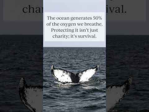 Paul Watson: Why the Ocean is our Life Support