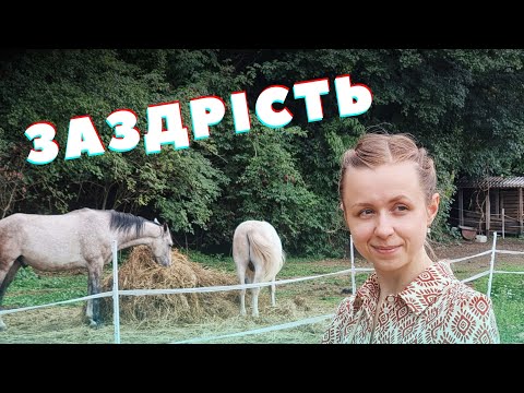 Заздрість: що за нею стоїть насправді і що робити?