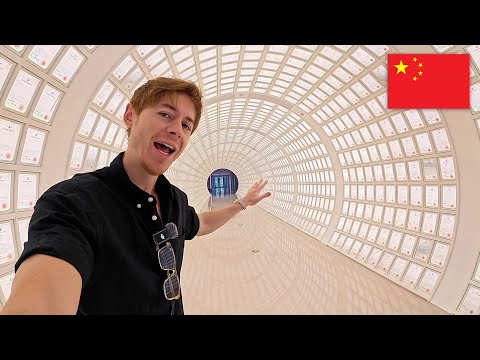 China's Dishwasher Revolution! Welcome to the Future!