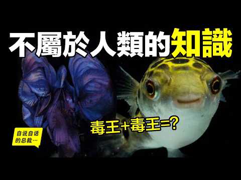 [Knowledge Not Belonging to Humanity] In 1986, a high school dropout committed a crime using this...