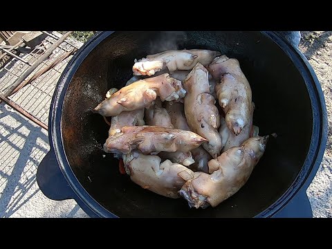 I PREPARED A DELICACY FROM SOMETHING MANY PEOPLE DON'T EAT. LEGS IN A CAULDRON