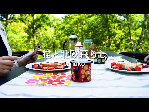 A peaceful holiday living in a cottage in the Nordic forest🌿 I visited a small castle general store