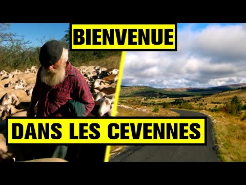 Le MEILLEUR Endroit De France Pour RANDONNER !  Les CEVENNES.