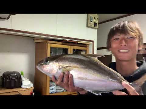 夕食ライブ 2025.12.14 ヒレナガカンパチ