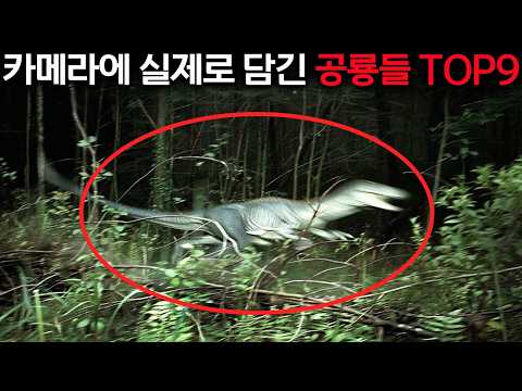 Dinosaurs were actually caught on camera? Shocking footage that defies common sense.