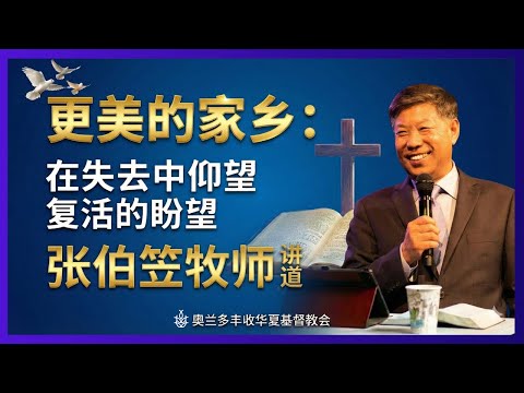 张伯笠牧师|更美的家乡:在失去中仰望复活的盼望 #复活的盼望 #更美的家乡 #张伯笠牧师