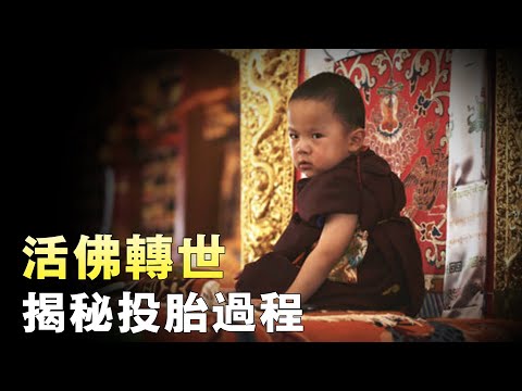 西藏活佛親口揭秘投胎過程！藏傳佛教中的轉世靈童，都是怎樣被找到的？【奇观异世界】