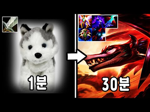 Q 데미지 1000 !! 역대급 사기 뉴메타 탑 나피리