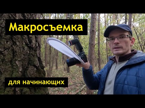 Макросъемка для начинающих - советы и примеры