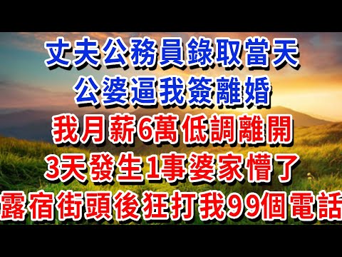 丈夫公務員錄取當天，公婆逼我簽離婚，我月薪6萬低調離開，3天發生1事婆家懵了，露宿街頭後狂打我99個電話